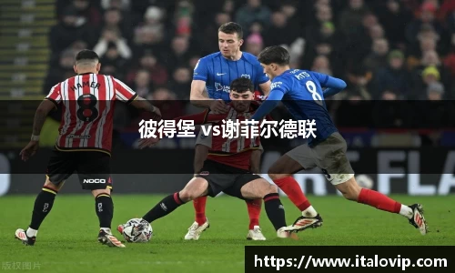 彼得堡 vs谢菲尔德联